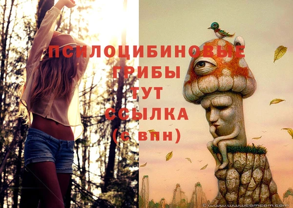 не бодяженный Абдулино