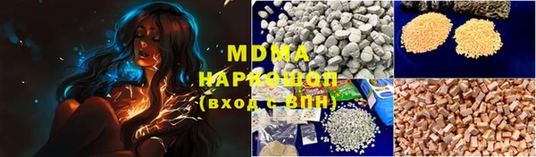 индика Алексин