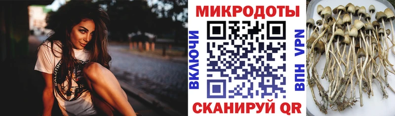 Псилоцибиновые грибы GOLDEN TEACHER  darknet официальный сайт  Осташков  даркнет сайт 